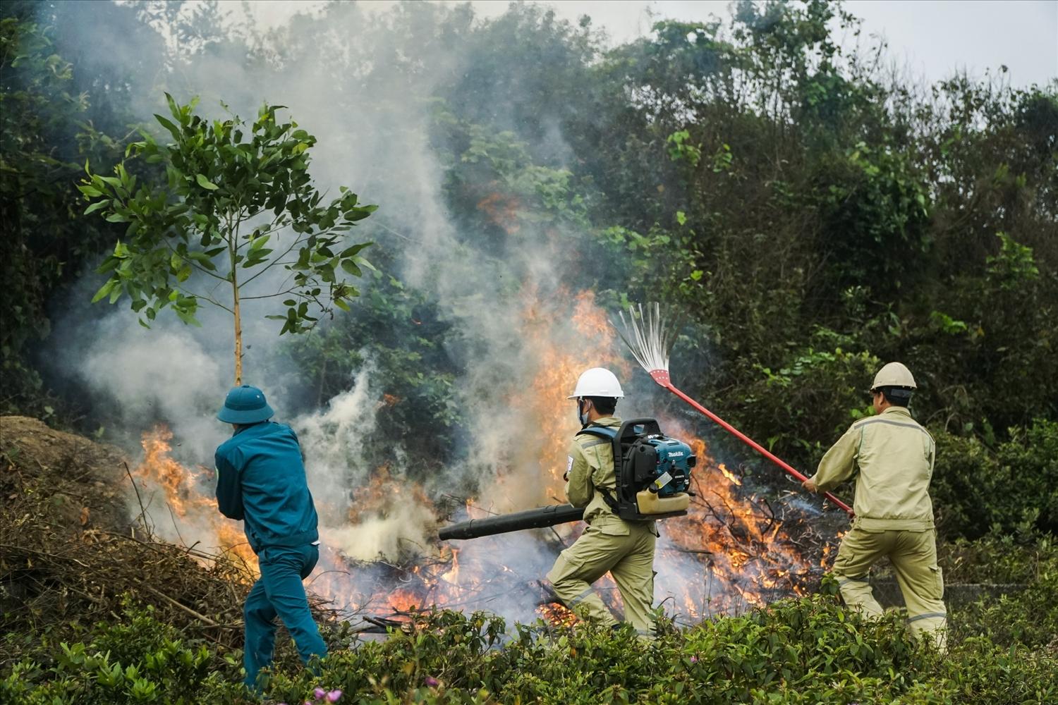 Tăng cường công tác bảo vệ rừng, phòng cháy chữa cháy rừng trên địa bàn xã Vĩnh Chấp